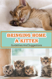 Bringing Home A Kitten
