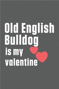 Old English Bulldog is my valentine