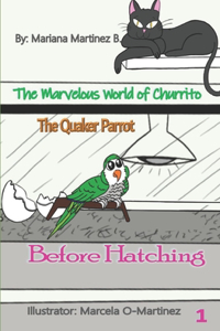 The Marvelous World of Churrito