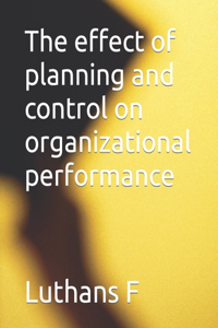 effect of planning and control on organizational performance