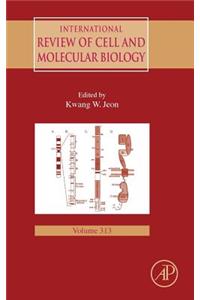 International Review of Cell and Molecular Biology