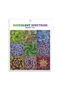 Succulent Spectrum Magnet Set