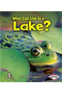 What Can Live in a Lake?