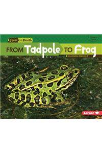 From Tadpole to Frog