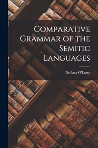 Comparative Grammar of the Semitic Languages