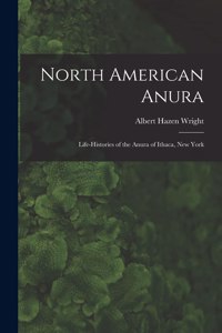North American Anura