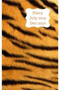 Diary July 2019 Dec 2020
