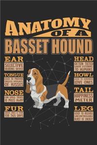 Anatomy Of A Basset Hound