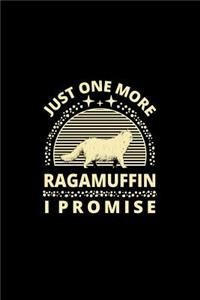 Just One More Ragamuffin I Promise