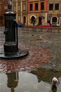 Antique Water Pump in Warsaw, Poland Journal