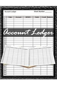 Accounting Ledger