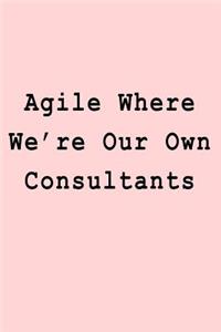 Agile Where We're Our Own Consultants