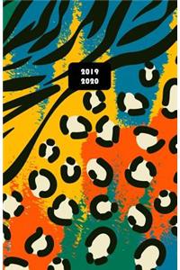 2019 - 2020