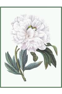 Notebook White Peony
