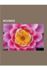 Bovines