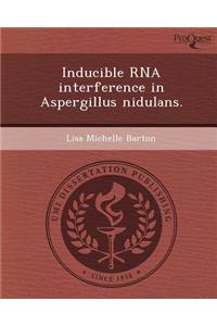 Inducible RNA Interference in Aspergillus Nidulans