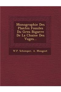 Monographie Des Plantes Fossiles Du Gres Bigarre De La Chaine Des Voges...