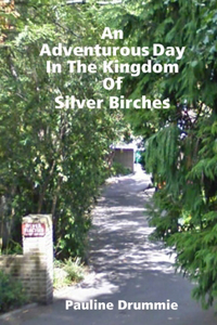 Adventurous Day In The Kingdom Of Silver Birches