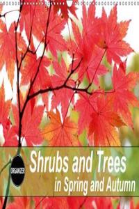Shrubs and Trees in Spring and Autumn 2018