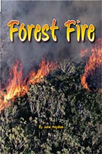 Rigby Flying Colors: Leveled Reader Bookroom Package Green Forest Fire