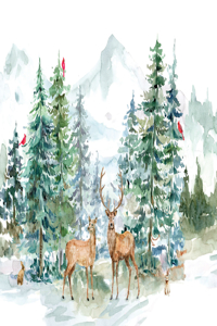 Winter Wonderland Deluxe Boxed Holiday Cards (20 Cards, 21 Self-Sealing Envelopes)