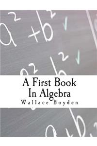 First Book In Algebra