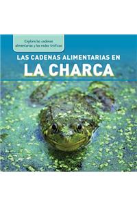 Cadenas Alimentarias En La Charca (Pond Food Chains)