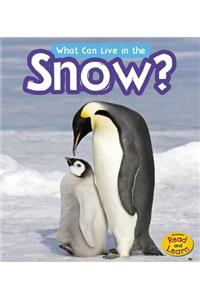 What Can Live in the Snow?