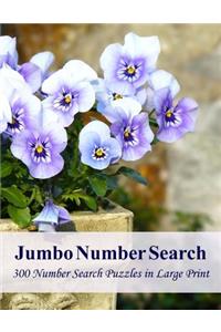 Jumbo Number Search