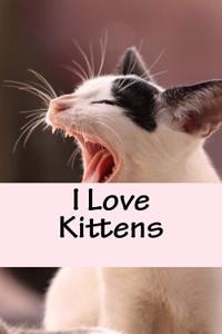 I Love Kittens