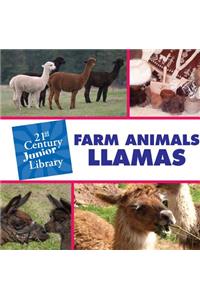 Farm Animals: Llama