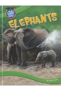 Elephants