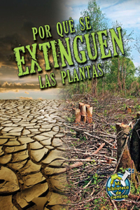 Por Qué Se Extinguen Las Plantas
