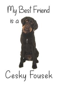 My best Friend is a Cesky Fousek