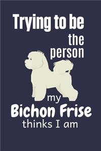 Trying to be the person my Bichon Frise thinks I am