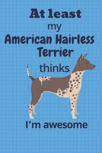 At least My American Hairless Terrier thinks I'm awesome