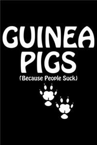 Guinea Pigs Because People Suck