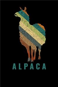 Alpaca