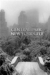 Central park Bridge New York City snow Winter Blank Journal $ir Michael Huhn designer edition