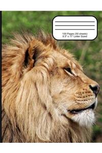 Lion Narrow Ruled Composition Book