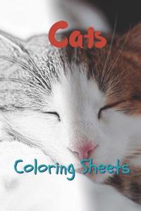 Cat Coloring Sheets
