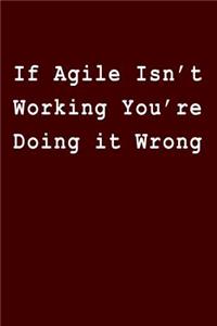 If Agile Isn't Working You're Doing It Wrong