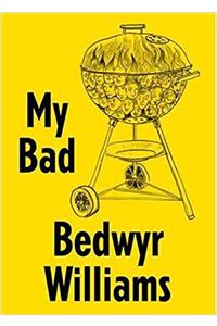 Bedwyr Williams