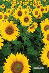 Journal Pages - Sun Flower Field (Unruled)