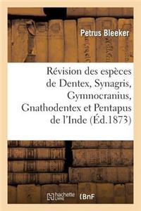 Révision Des Espèces de Dentex, Synagris, Gymnocranius, Gnathodentex Et Pentapus