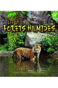 Les Forets Humides