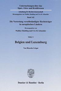 Belgien Und Luxemburg: Die Vertretung Verselbstandigter Rechtstrager in Europaischen Landern, Teil V