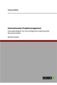 Internationales Projektmanagement. Losungsstrategien Fur Eine Erfolgreiche Interkulturelle Zusammenarbeit