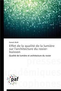 Effet de la Qualité de la Lumière Sur l'Architecture Du Rosier-Buisson