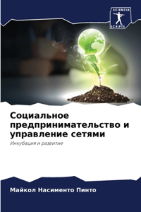 Социальное предпринимательство и управ
